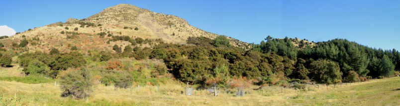 A photographic monitoring point for the newly planted carbon forest. Credit Mo Turnbull