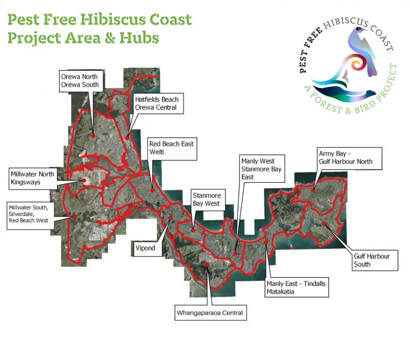 Map of Pest Free Hibiscus Coast Project area and hubs
