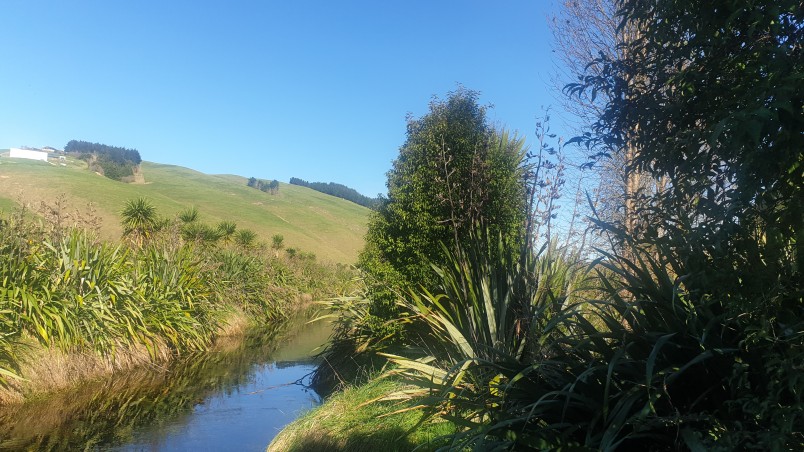 Poukawa Stream restoration