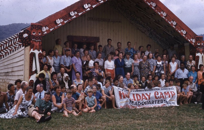 A Forest & Bird family camp, Rewarewa Marae, Te Urewera, January 1959. Image supplied