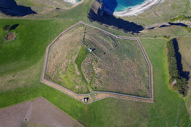 The fenced Kaikōura Peninsula nesting site. Image Andrew Spencer