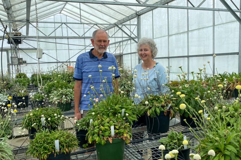 Ilse & David Purcell in greenhouse Lincoln. Image Kim Triegaardt