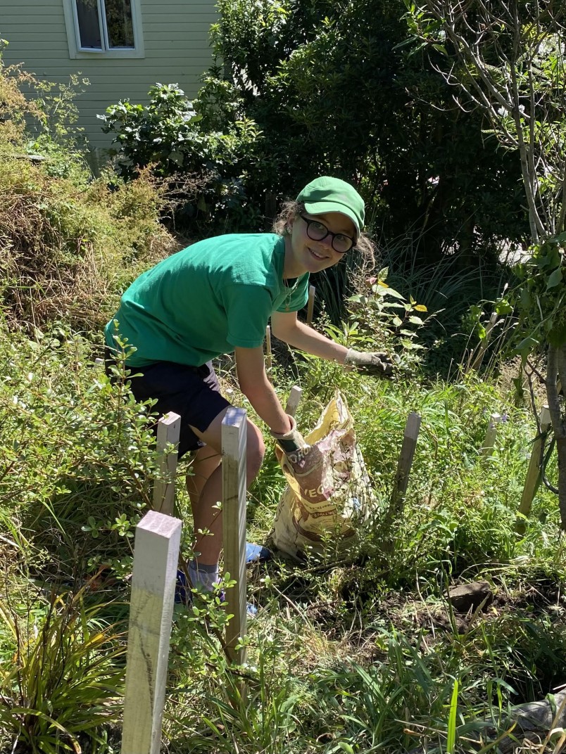 A volunteer weeding on Epuni Street steps