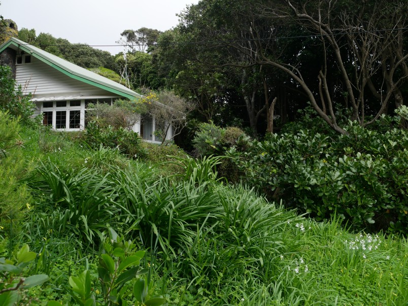 Sanderson's home in Paekākāriki. Image Caroline Wood
