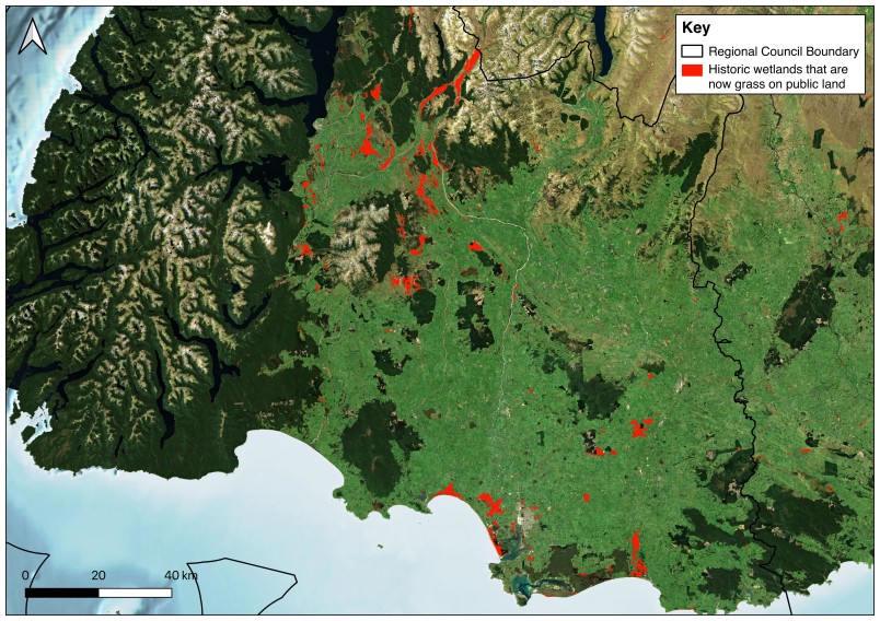 Historic wetlands in Southland (marked in red) that may have the potential to be restored. Image Forest & Bird