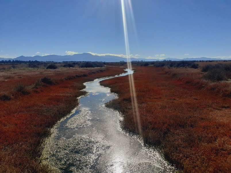 Wairau Lagoons, Marlborough. Image Ricky Wilson/Flickr