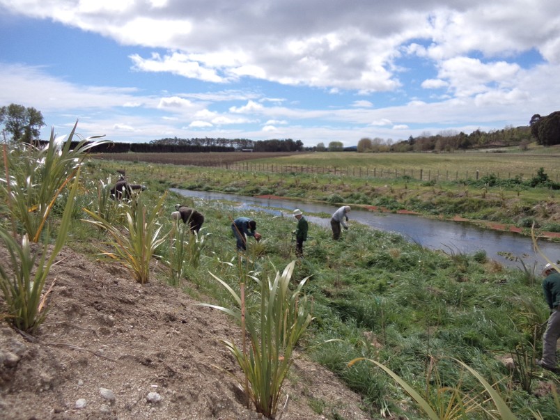 Poukawa Stream restoration. Image supplied