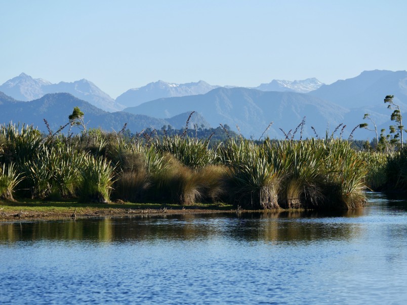 Lake Mahināpua wetlands near Hokitika. Image Caroline Wood