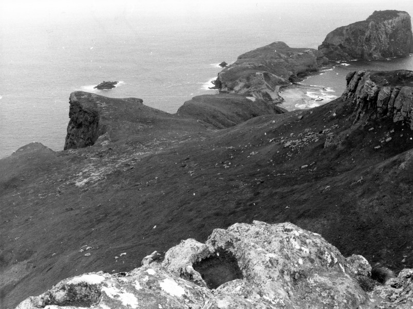 Mangere Island with Little Mangere Island top right in 1969. The slope centre and left is where the main tree planting was done in the 1970s. Image Forest & Bird Archives