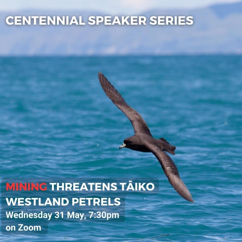 Centennial Speaker Series event four, Mining Threatens Tāiko Westland Petrels