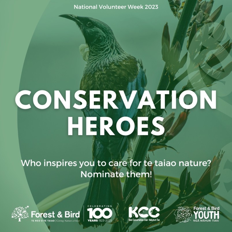 A poster reading "conservation heroes" overlaying an image of a tui