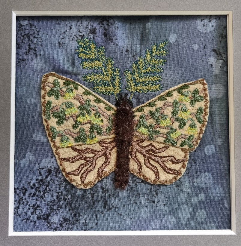 Olearia hectorii-winged moth Janine Thompson