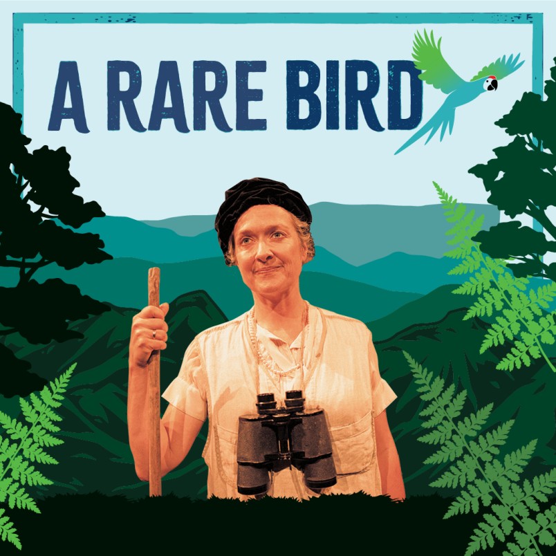 Poster for A Rare Bird play