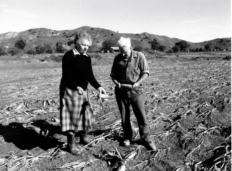 Devastated farmland after Cyclone Bola. Image Forest & Bird archives