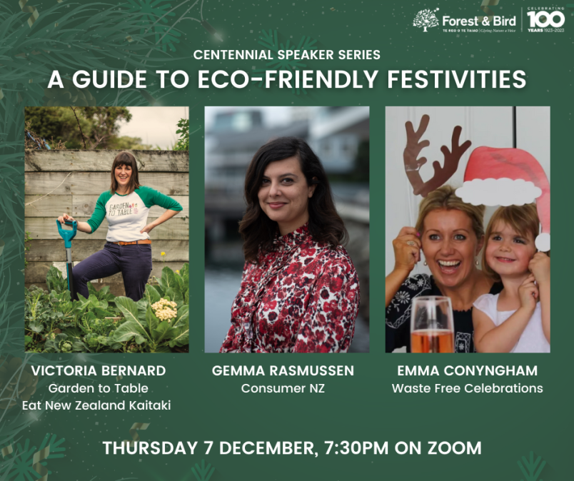 A guide to eco-friendly festivities poster
