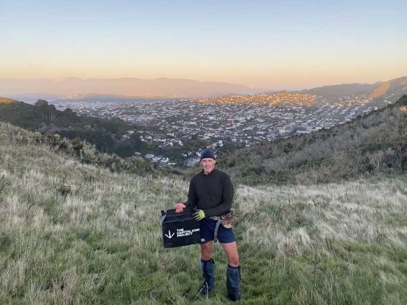 Capital Kiwi founder Paul Ward monitoring kiwi, Skyline walkway, Karori.