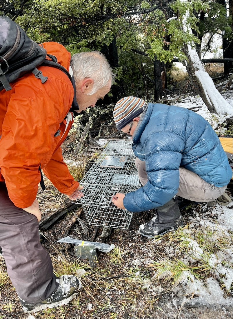 Phil Marsh and Liam O’Donoghue setting a live capture feral cat trap. Credit DJ Matheson
