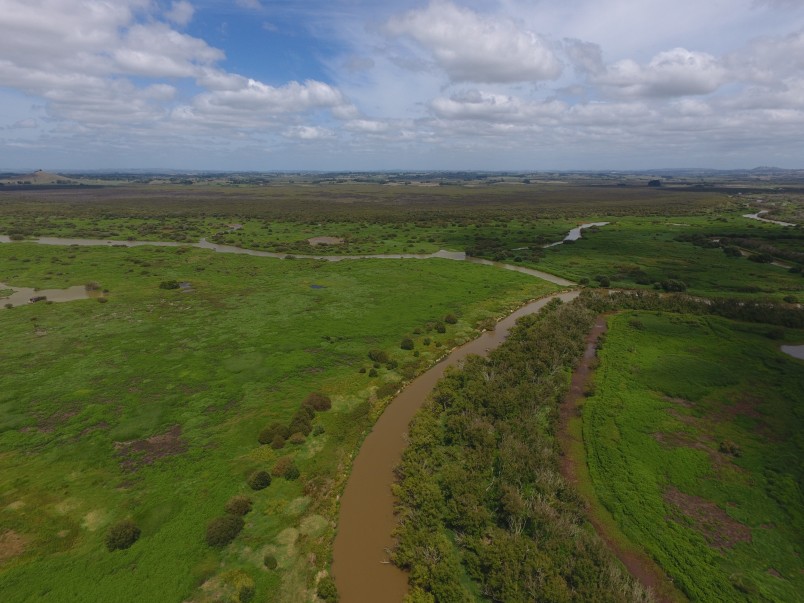 Whangamarino wetland before the 2024 fire. Image: Markus Stirnemann