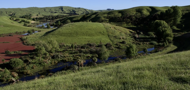 New wetlands and native plantings at Rangitoto Station in 2020. Image Marie Taylor/Plant Hawke’s Bay