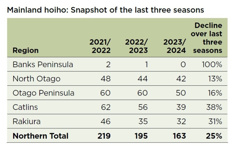 Mainland hoiho: Snapshot of the last three seasons