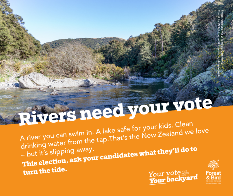 Local government election campaign 2025: Rivers need your vote
