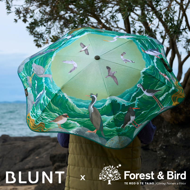 The new BLUNT marine canopy by Tanya Wolfkamp