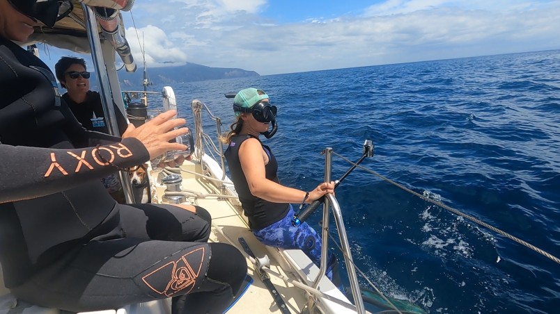 Getting ready to survey manta rays in the Hauraki Gulf. Credit Rebecca Pratt