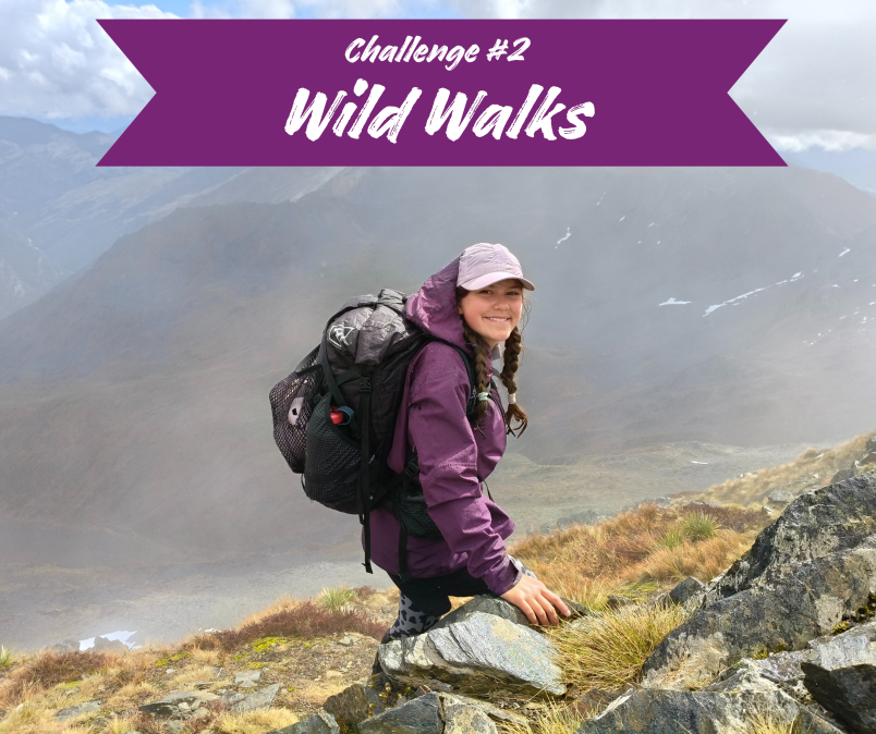 Challenge #2 Wild Walks