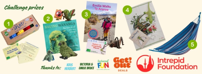 SAC Challenge Prizes