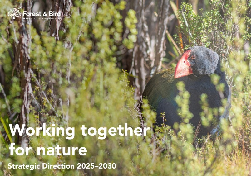 Working together for nature | Strategic direction 2025 - 2030