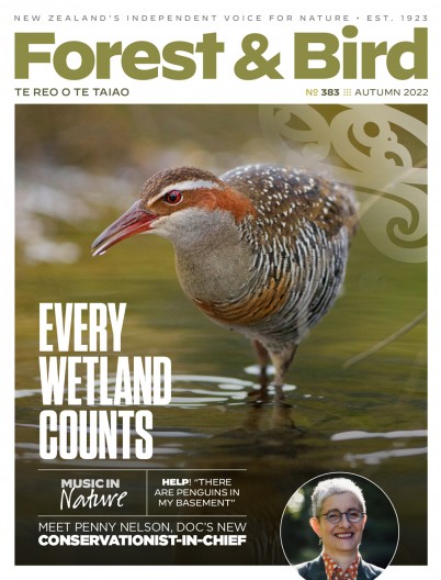 F&B magazine Autumn 2022 cover featuring a banded rail wading in still water