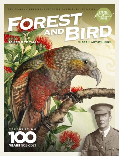 Forest & Bird magazine Autumn 2023 cover 