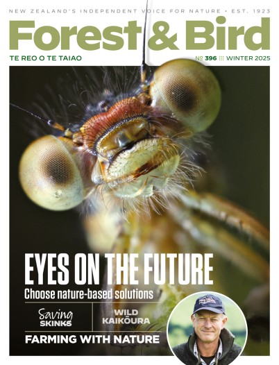 Forest & Bird Winter magazine cover, issue 396