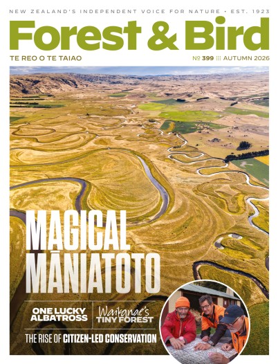Forest & Bird magazine, Autumn 2026, Issue 399