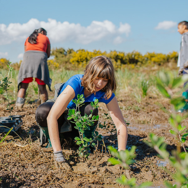 Tree planting.